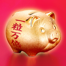 アピール画像