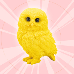 アピール画像