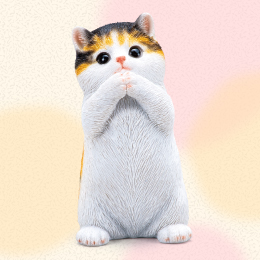 幸運を願う子猫