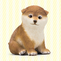 金運を守る子犬