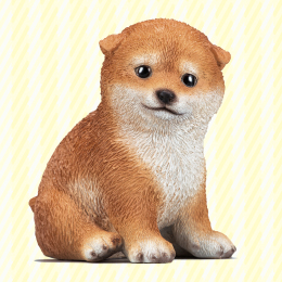 金運を守る子犬