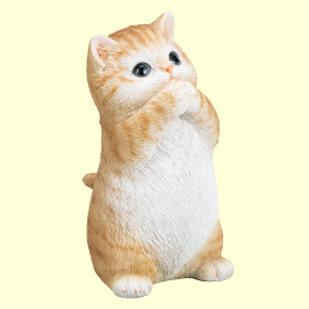 金運を願う子猫(茶トラ)