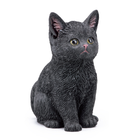 金運を呼ぶ子猫