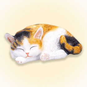 金運を呼ぶ眠る子猫