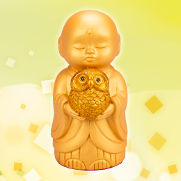 アピール画像