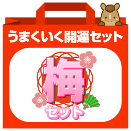 うまくいく開運セット｢梅｣