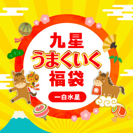 九星うまくいく福袋(一白水星)