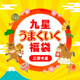 九星うまくいく福袋(三碧木星)