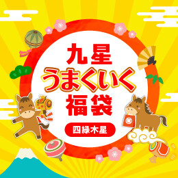 九星うまくいく福袋(四緑木星)
