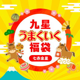 九星うまくいく福袋(七赤金星)