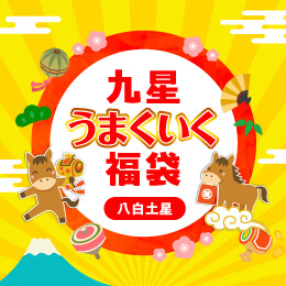 九星うまくいく福袋(八白土星)
