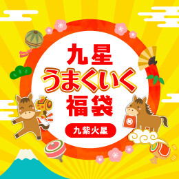 九星うまくいく福袋(九紫火星)