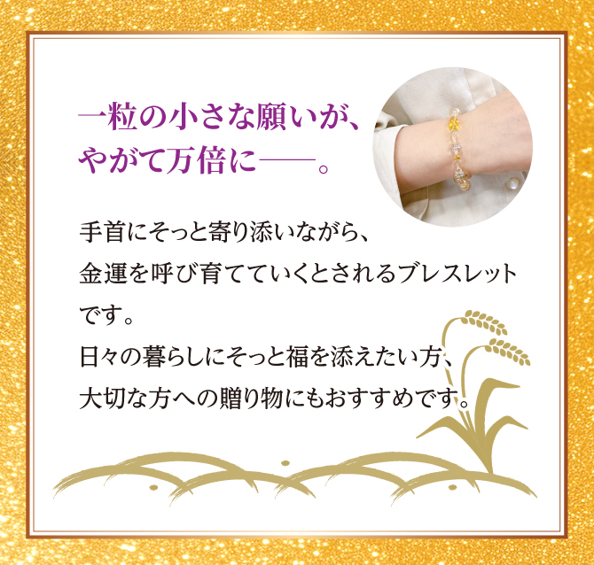 一粒万倍ブレス | ラッキーショップ