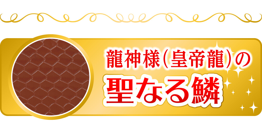 金運万倍龍神財布 皇帝龍 | ラッキーショップ