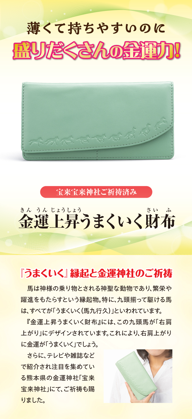 金運上昇うまくいく財布 | ラッキーショップ