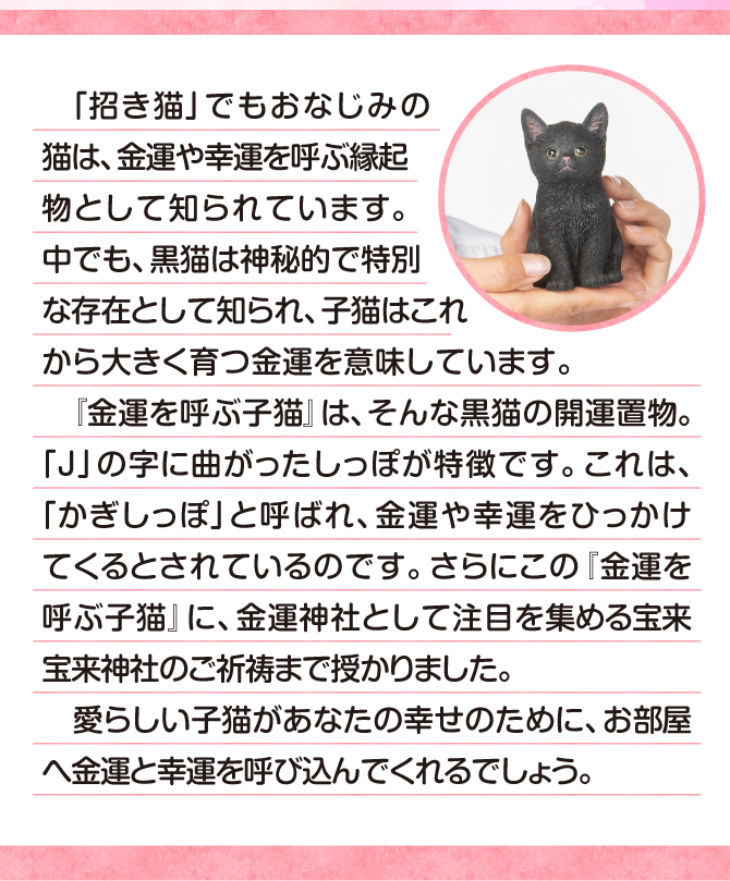 金運を呼ぶ子猫 | ラッキーショップ