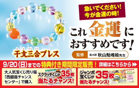 霊石 一点物 様々な状況の克服 運気上昇を望まれる方へ ※念入れ料込  #占い ラッキーショップ