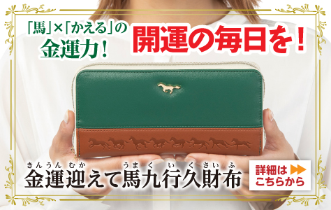 縁起物　超開運　呪物　カッパの置物が話す　購入者が説明読み購入金額決めて下さい！ 隠し金庫 亀の餌(2種選択不可)型 『シークレットセーフ Wardley