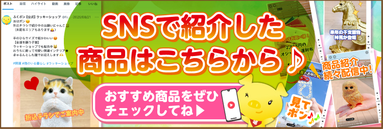 特別価格　金運をもたらす魔術ンガン崇拝物　プラアチャンアムナット師 特別価格 金運をもたらす魔術ンガン崇拝物 プラアチャンアム