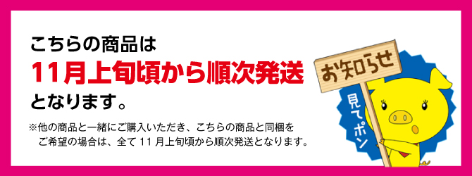 お届け案内