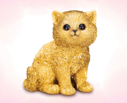 金運を連れてくる子猫
