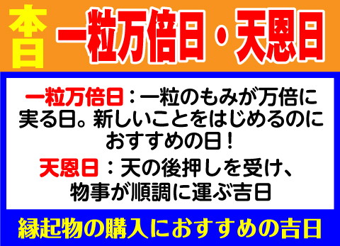 一粒万倍日×天恩日