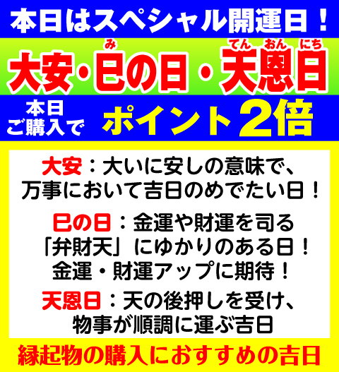 大安×天恩日×巳の日