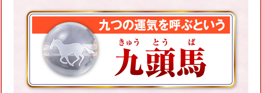 九つの運気を呼ぶという「九頭馬」
