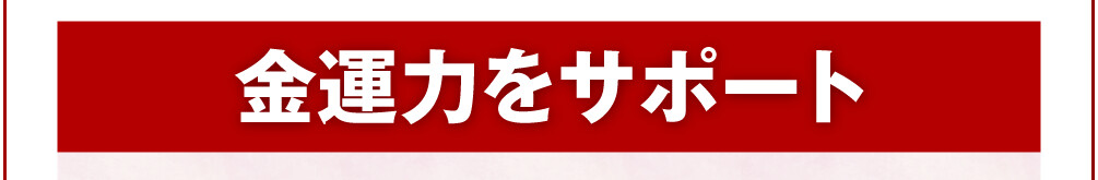 金運力をサポート