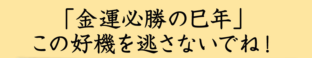 「金運必勝の巳年」この好機を逃さないでね！