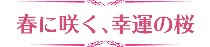 春に咲く、幸運の桜