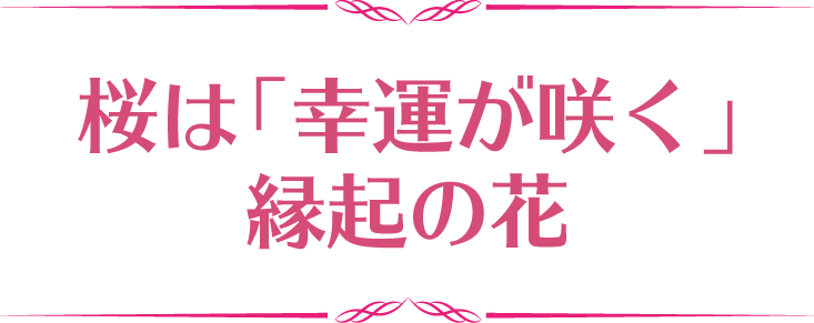 桜は「幸運が咲く」縁起の花