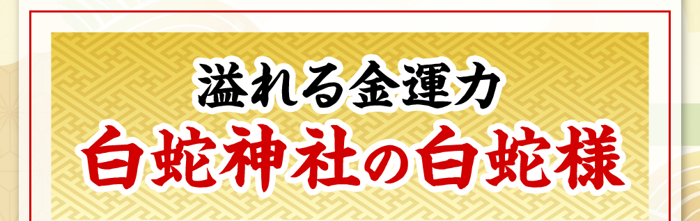 溢れる金運力【白蛇神社の白蛇様】