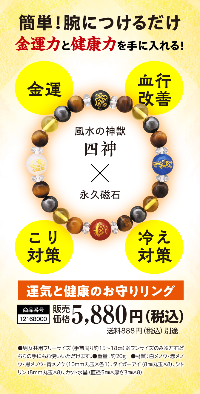 簡単！腕につけるだけ！金運力と健康力をみにつける！金運・血行改善・コリ対策・冷え対策『運気と健康のお守りリング』