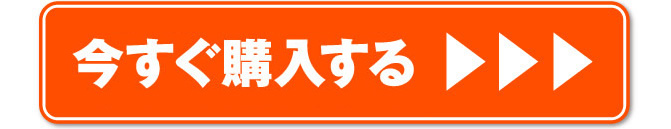 九星金蛇ペンダント(二黒土星)を購入する