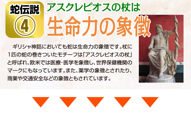 生命力の象徴