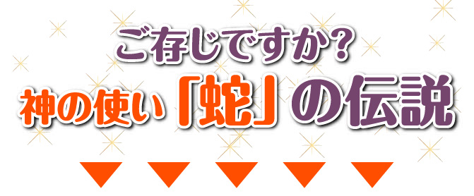 ご存じですか?神のい「」の伝説