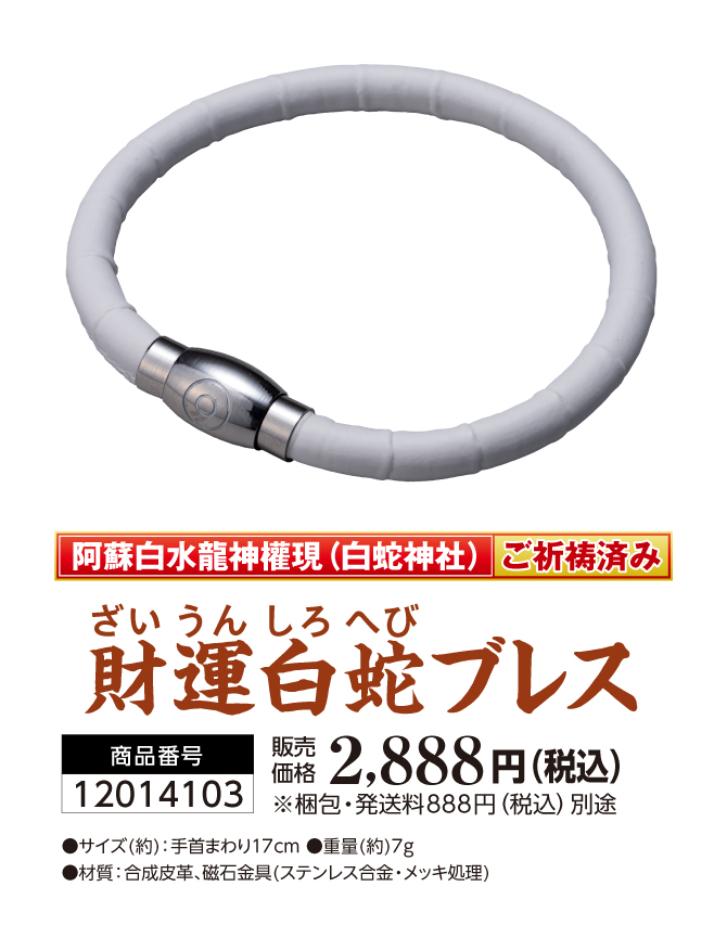 身につける白蛇パワー！白蛇と阿蘇白水龍神權現のご祈祷パワー！財運白蛇ブレス