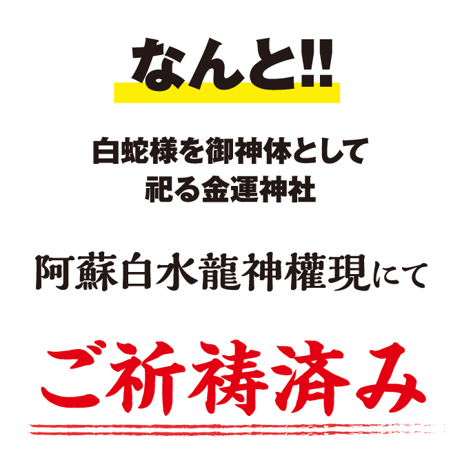 なんと！！白蛇様を御神体として祀る金運神社 阿蘇白水龍神權現にてご祈祷済み