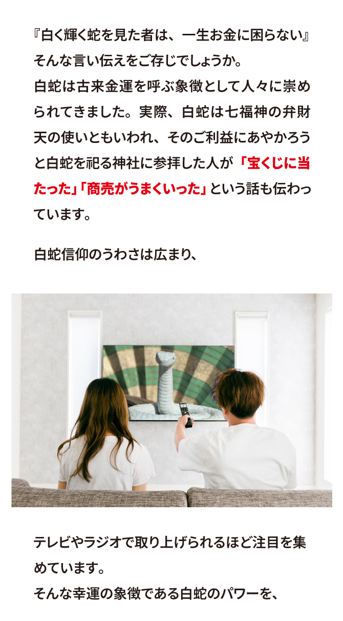 白蛇は古来金運を呼ぶ象徴として人々に崇められてきました