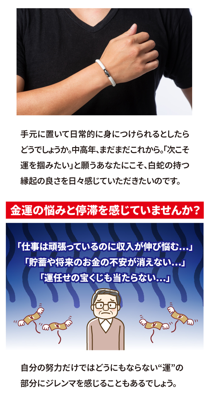 次こそ運をつかみたいと願うあなたにこそ、白蛇の持つ縁起の良さを感じていただきたいのです