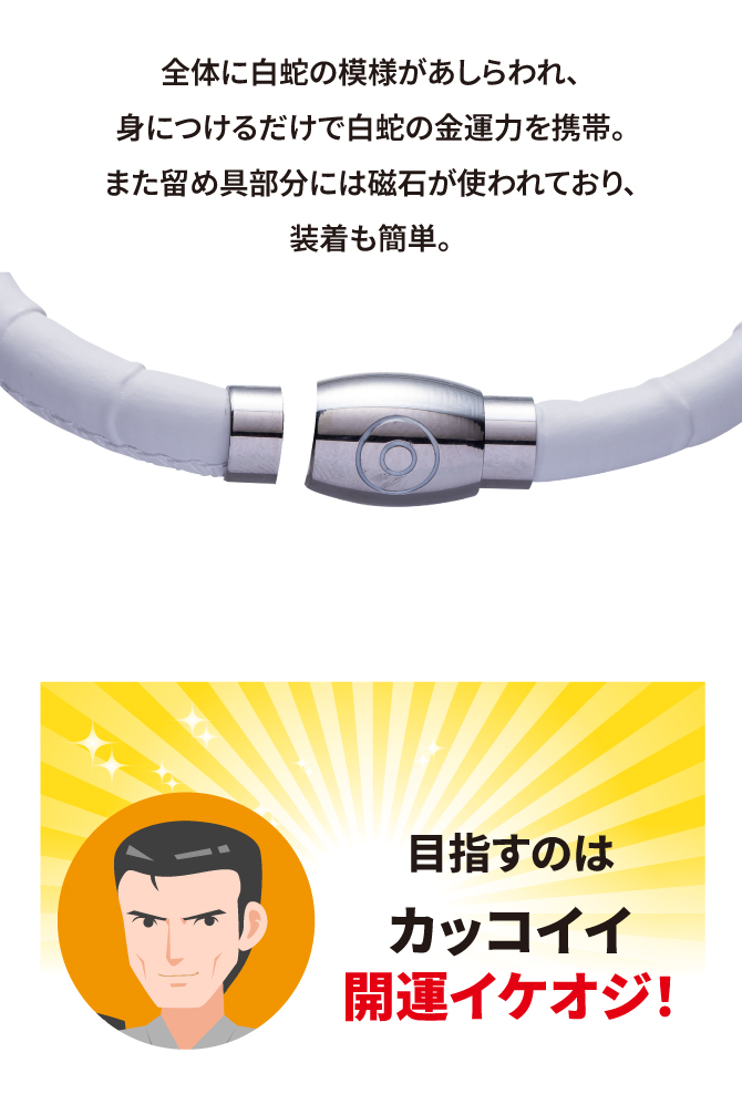 神の化身とされる白蛇のパワー！磁石を使用していて簡単に装着できます