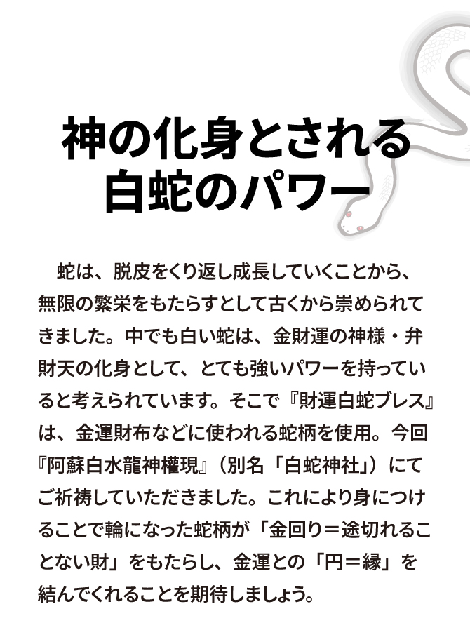 神の化身とされる白蛇のパワー！阿蘇白水龍神權現（白蛇神社）ご祈祷済み