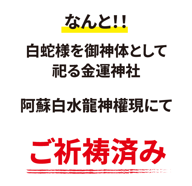 神の化身とされる白蛇のパワー！阿蘇白水龍神權現（白蛇神社）ご祈祷済み
