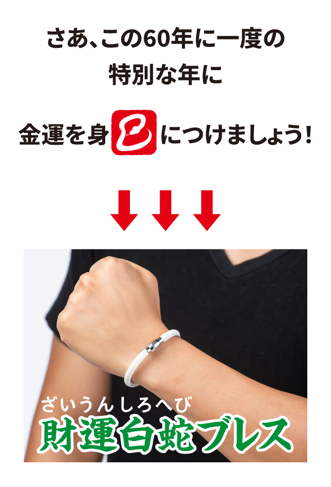 さあ、この60年に一度のこのタイミングに金運を身(巳)につけましょう