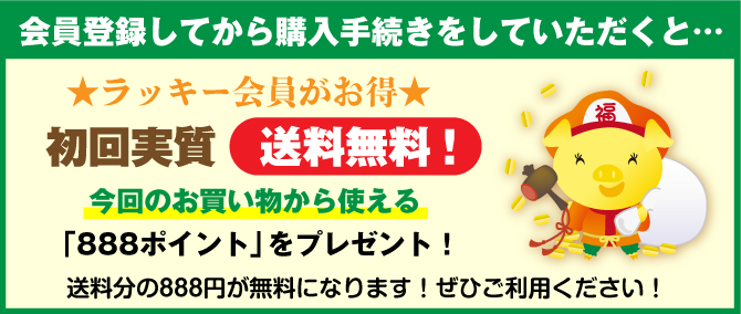 会員登録で888ポイント分のクーポンを進呈！初回送料が実質無料になります。