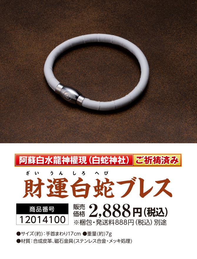 身につける白蛇パワー！白蛇と阿蘇白水龍神權現のご祈祷パワー！財運白蛇ブレス