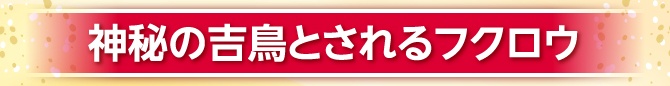 神秘の吉鳥とされるフクロウ