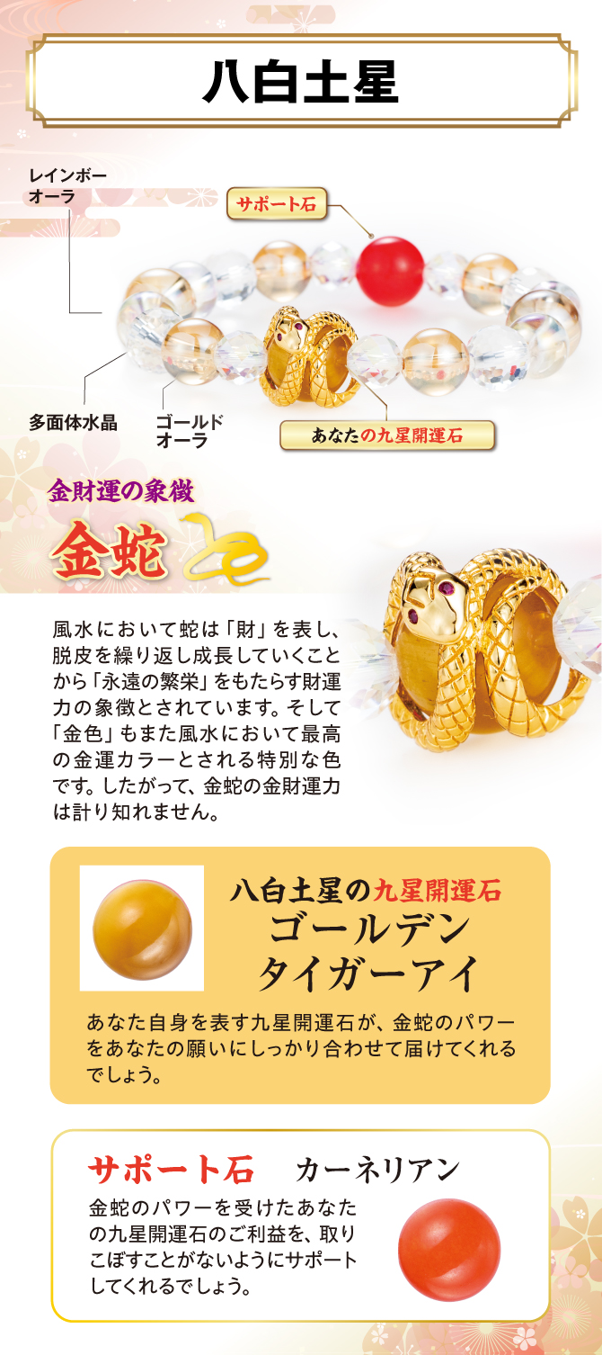 チエ・エレナ先生が選んだあなたの九星開運石とサポート石をチェック