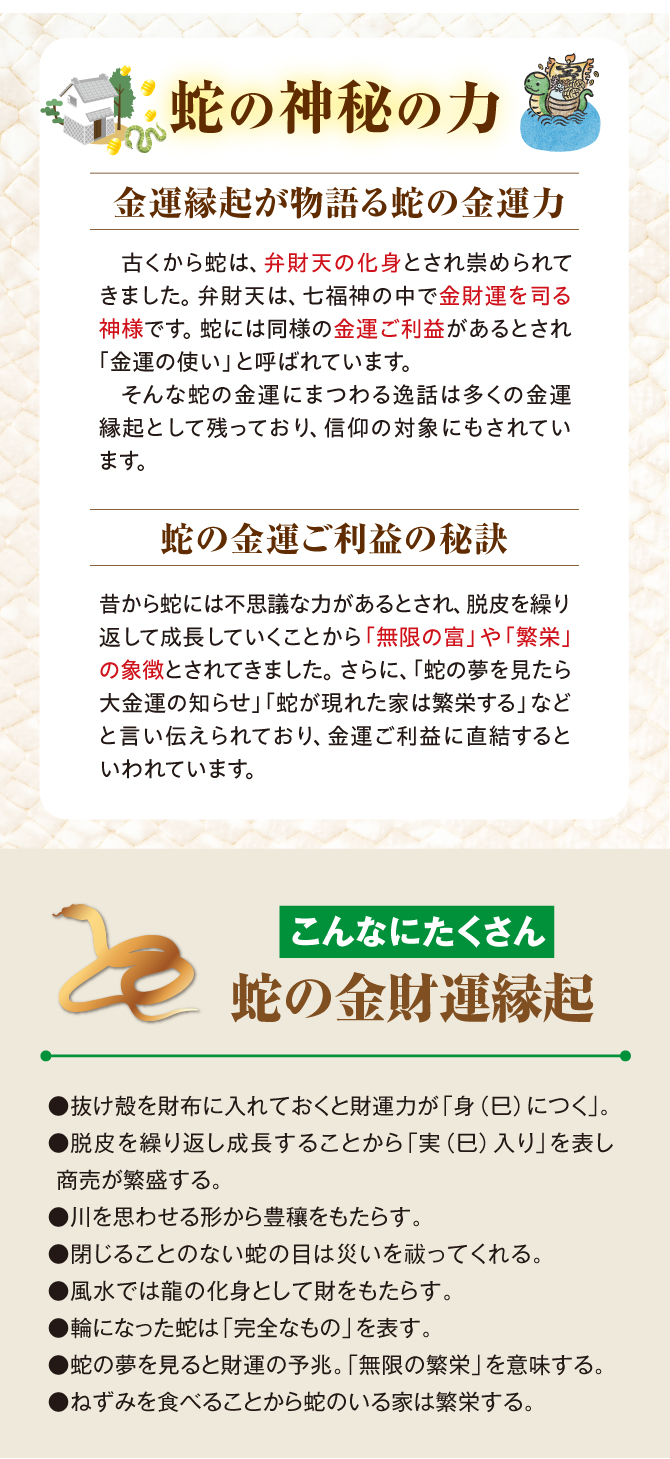 金財運縁起が物語る蛇の金運力